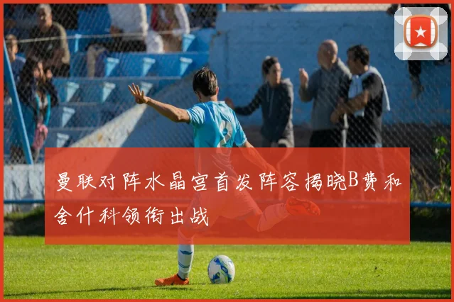 曼联对阵水晶宫首发阵容揭晓B费和舍什科领衔出战