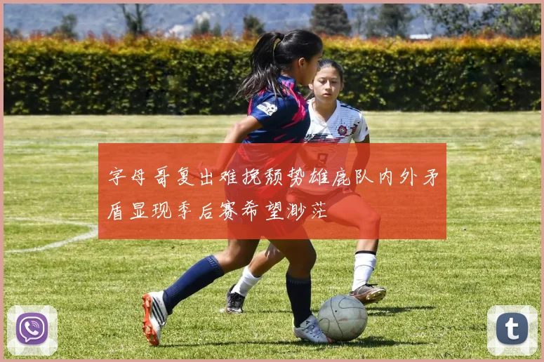 字母哥复出难挽颓势雄鹿队内外矛盾显现季后赛希望渺茫