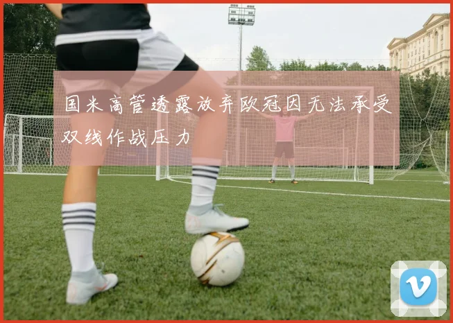 国米高管透露放弃欧冠因无法承受双线作战压力