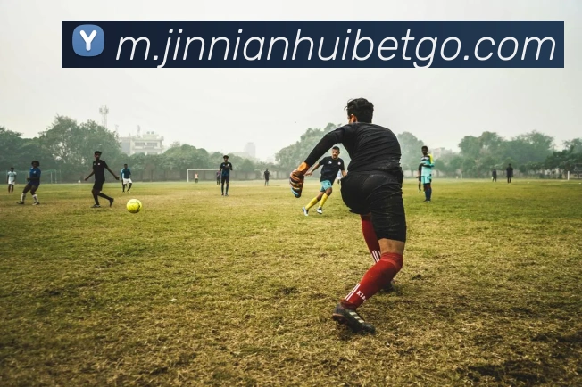 金年会平台生态图